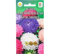 Семена АРТИКУЛ Астра однолетняя Американская Красавица 0.2 г, евро,  Американская кустовая, смесь, h=60-75 см, d=10-12 см 4630009396611