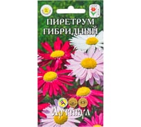Семена АРТИКУЛ Пиретрум гибридная смесь 0,1 г,  многолетнее, евро, h=60-75 см, d=8-12 см 4630009394105