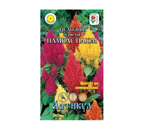 Семена АРТИКУЛ Целозия перистая Пампас Плюм 0,1 г,  однолетняя, евро, h=70-80 cм, d=25-40 см - длина соцветий 4607089747060