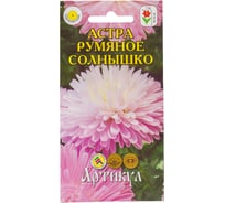 Семена АРТИКУЛ Астра Румяное Солнышко 0.2 г, однолетнее, евро, Воронежская, нежно-розовая, h=50-55 см, d=7 см 4630009397168