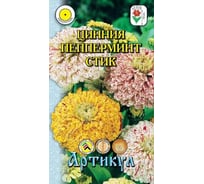 Семена АРТИКУЛ Цинния изящная Конфетка 0,3 г, однолетняя, евро, Пепперминт Стик, смесь, h=70 см, d=5-9 см 4607089743734