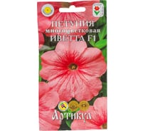 Семена АРТИКУЛ Петуния многоцветковая Иветта F1 10 шт., однолетняя, евро, уникальная окраска - светло лососево-розовая, низкорослая, сильноветв., обильноцвет., h=30-35 cм, d=5,5-6,5 см 4607089748845