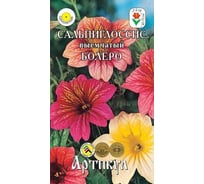 Семена АРТИКУЛ Сальпиглоссис Болеро 0,05 г, однолетний, смесь, h=40-70 cм, d=5-6 см 4607089743123