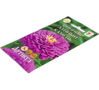 Семена АРТИКУЛ Цинния изящная Лунный камень 0,3 г, однолетняя, евро, Пурпл принц, от темно-голубой до фиолетовой, h=90 см, d=14-15 см 4630009393993