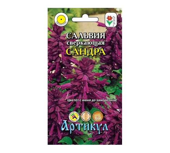 Семена АРТИКУЛ Сальвия сверкающая Сандра 10 шт., бургунди, h=30-35 см 4630009393801 1