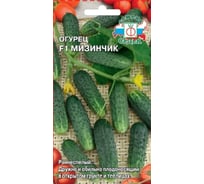 Огурец СеДеК Мизинчик F1 ранний, ПО С частичной партенокарпией, ОГ, тепл, пучковый, 8-10 см, 9,5-11кг/кв.м, сочн, не перерас, обил.плодон., Евро, 0.3 15127