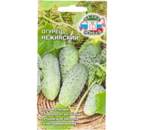 Огурец СеДеК Нежинский ПО, ОГ, ПУ, 9-13см, 90-110г, 4,9кг/кв.м, хруст, плодон.до осени, для засола и консер., Евро, 0.5 14823