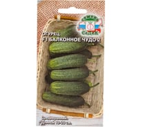 Огурец СеДеК Балконное Чудо 2 F1. Евро, 0.2 I0000016209