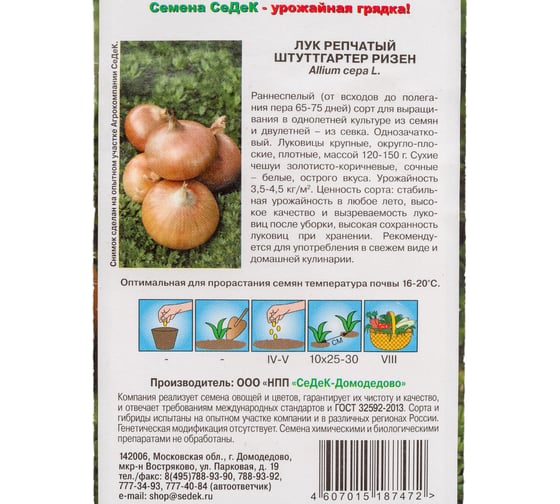 Лук СеДеК Штуттгартер Ризен репч. ран.спел.,окр.-плоск.,зол.- коричн./бел.,остр.,120-150 г, Евро, 1 13859