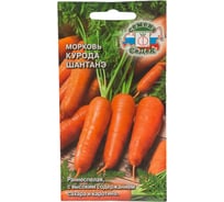 Морковь СеДеК Курода Шантанэ ран.спел.,конич.,оранж.,16-20 см,120-180 г, Евро, 2 I0000002123