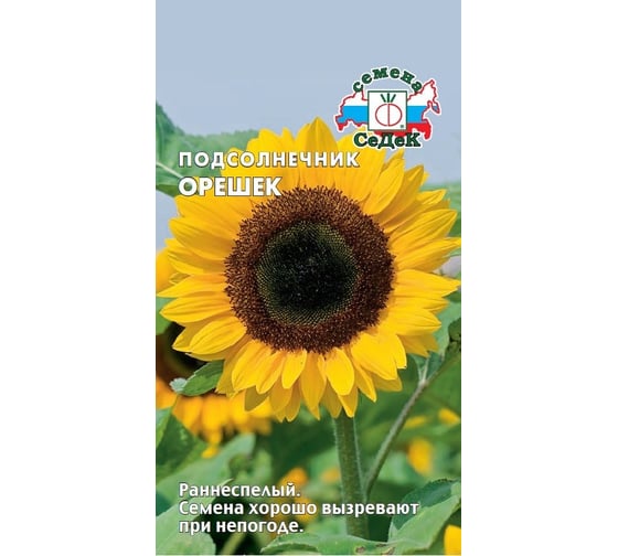Подсолнечник СеДеК Орешек ран.спел.,ср.плоск, крупн.шир.-овал.,черн.,1,6-1,7 м, Евро, 5 16554