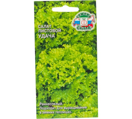 Салат СеДеК Удача листовой ран.спел, ОГ/теплиц, волн, инт.-зелен, маслян, 150-300 г, Евро, 0.5 I0000001036
