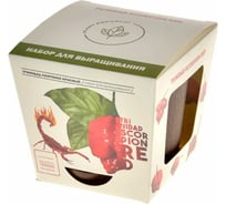 Набор для выращивания растений Plant Republic Перец острый Тринидад Скорпион Красный pr-017