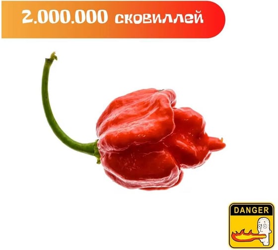 Набор для выращивания растений Plant Republic Перец острый Тринидад Скорпион Красный pr-017