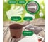 Набор для выращивания растений Plant Republic Перец острый Тринидад Скорпион Красный pr-017 4