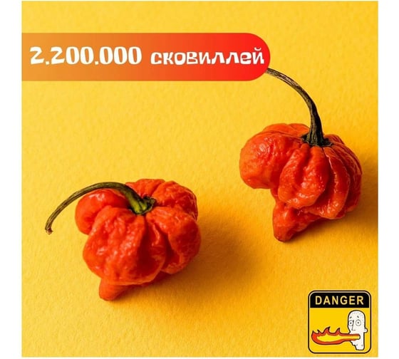 Набор для выращивания растений Plant Republic Перец острый Каролина Рипер pr-008