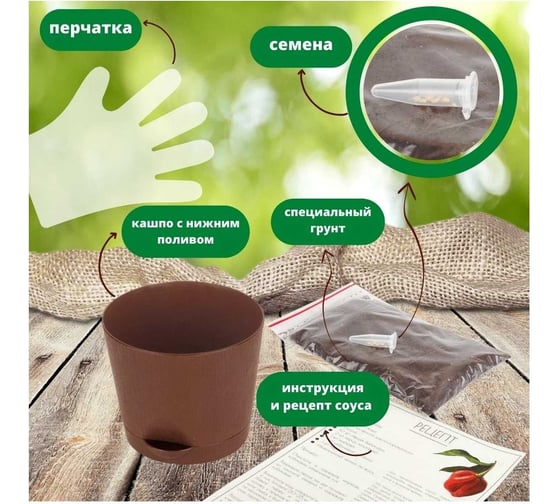 Набор для выращивания растений Plant Republic Перец острый Каролина Рипер pr-008