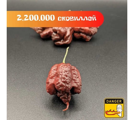 Набор для выращивания растений Plant Republic Перец острый Каролина Рипер Шоколадный pr-016