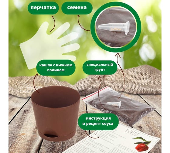 Набор для выращивания растений Plant Republic Сахарная Лихорадка pr-018