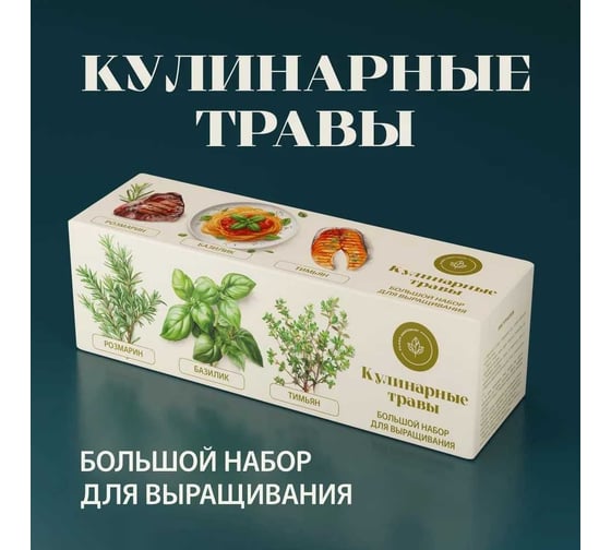 Набор для выращивания растений Plant Republic Кулинарные травы pr-025