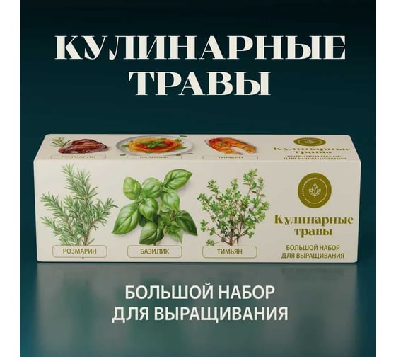 Набор для выращивания растений Plant Republic Кулинарные травы pr-025