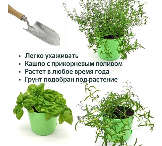 Набор для выращивания растений Plant Republic Кулинарные травы pr-025