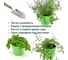 Набор для выращивания растений Plant Republic Кулинарные травы pr-025 5