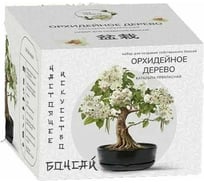 Набор для создания бонсай Вырасти,Дерево! Орхидейное дерево sr-008