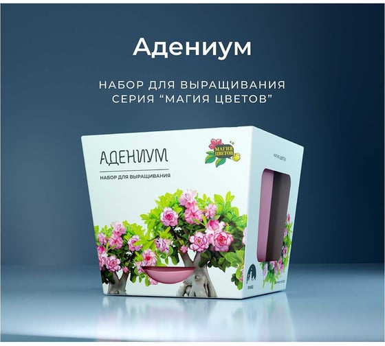Набор для выращивания растений Магия цветов Адениум mf-001