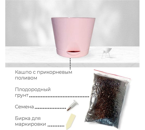 Набор для выращивания растений Магия цветов Адениум mf-001