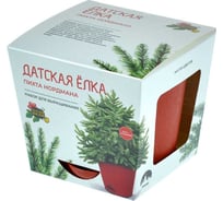 Набор для выращивания растений Магия цветов Датская елка mf-009