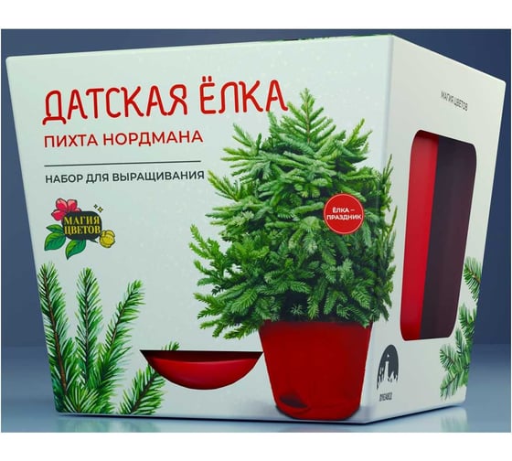 Набор для выращивания растений Магия цветов Датская елка mf-009