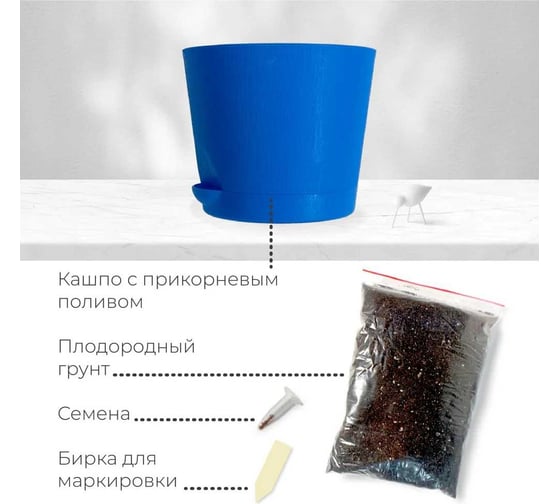 Набор для выращивания растений Магия цветов Ель голубая mf-010