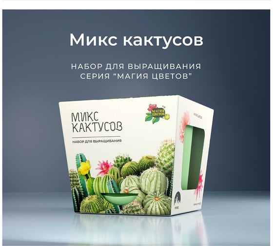Набор для выращивания растений Магия цветов Микс кактусов mf-003