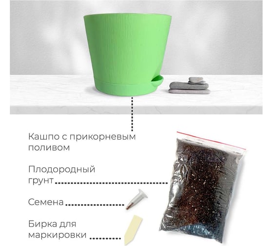 Набор для выращивания растений Магия цветов Микс кактусов mf-003