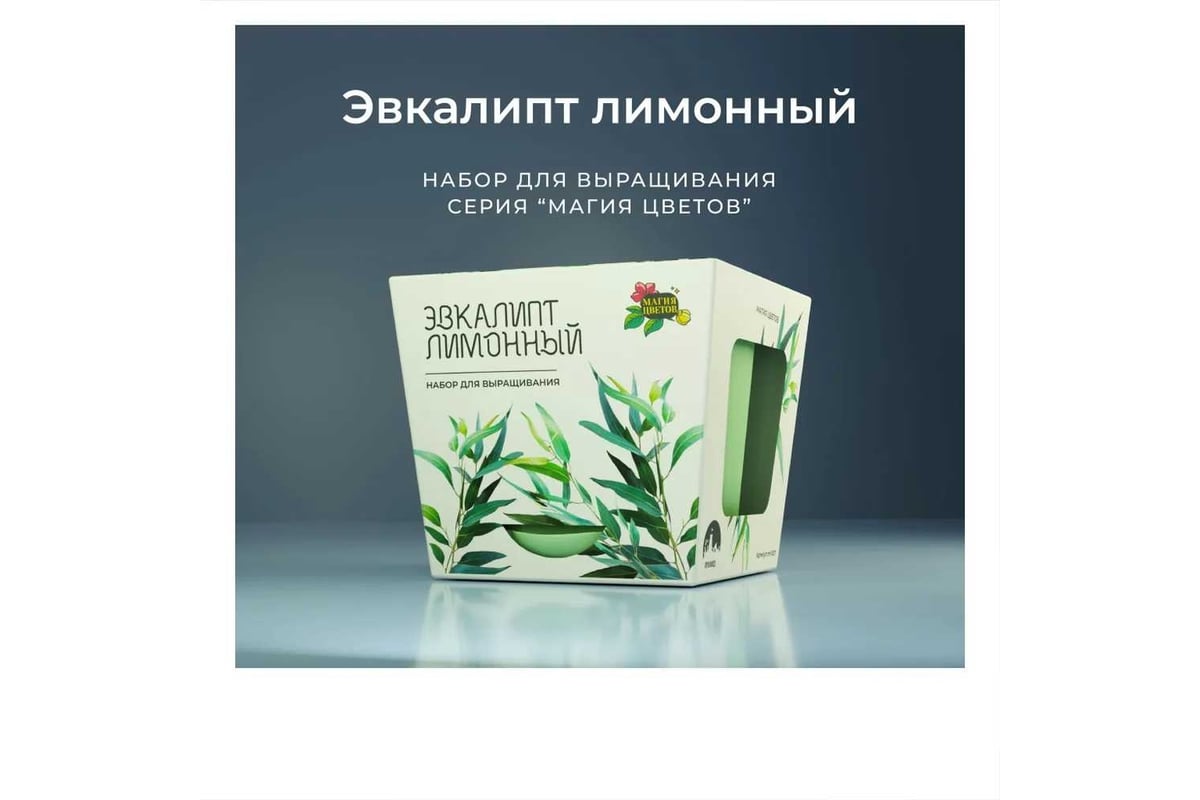 Набор для выращивания растений Магия цветов Эвкалипт лимонный mf-007 ...