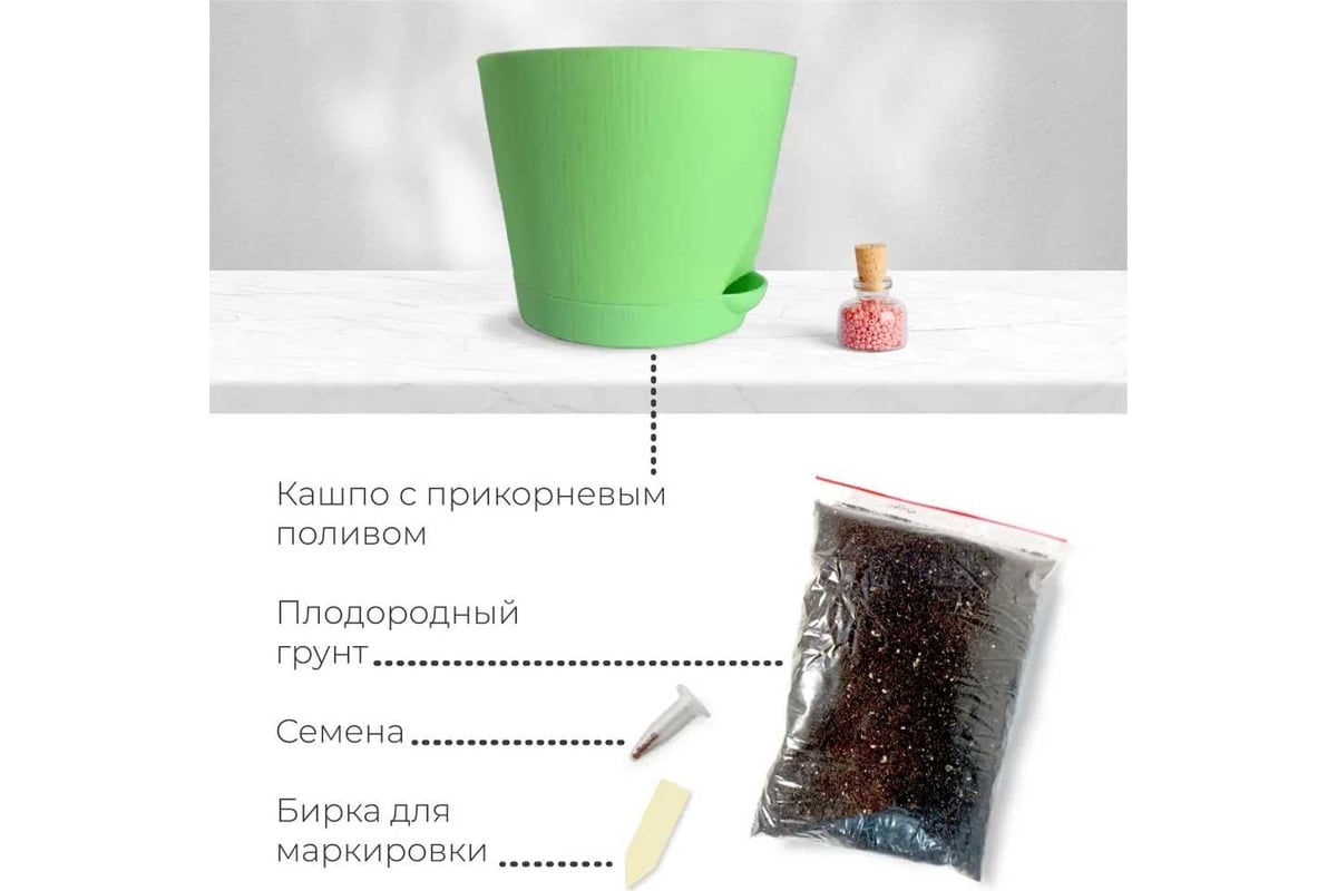 Набор для выращивания растений Магия цветов Эвкалипт лимонный mf-007 ...