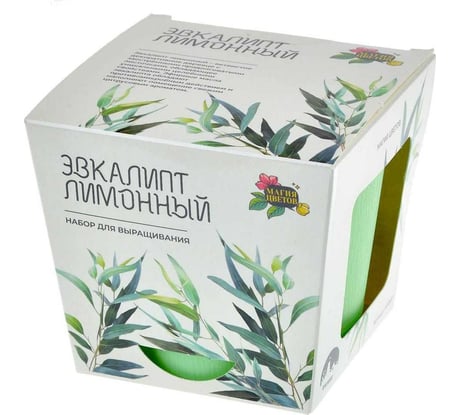 Набор для выращивания растений Магия цветов Эвкалипт лимонный mf-007