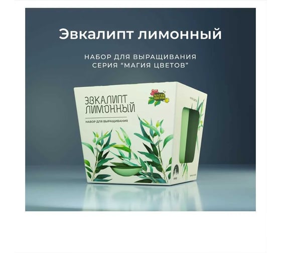 Набор для выращивания растений Магия цветов Эвкалипт лимонный mf-007