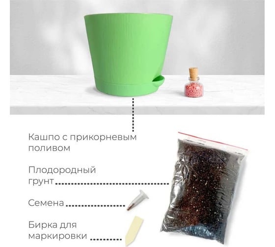 Набор для выращивания растений Магия цветов Эвкалипт лимонный mf-007