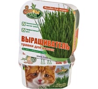 Проращиватель для зеленой травки Здоровья КЛАД ПР0004 00-00013145