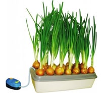 Домашняя установка луковое счастье Здоровья КЛАД 100086964 00-00010454