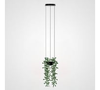 Подвесной вазон IMPERIUMLOFT PALMA Pendant 212755-22