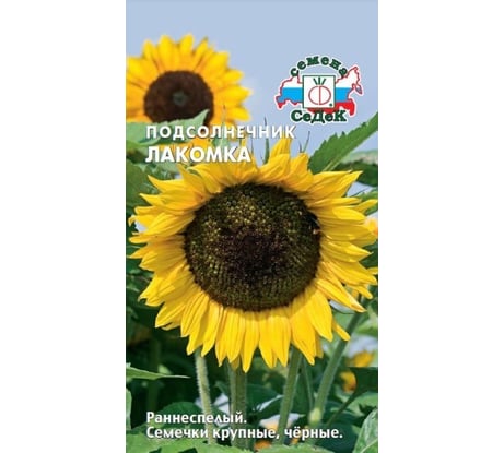 Подсолнечник СеДеК Лакомка ран.спел., бол.плоск., крупн.овал.-удлин., черн., 1,5-1,7 м. Евро, 5 16553