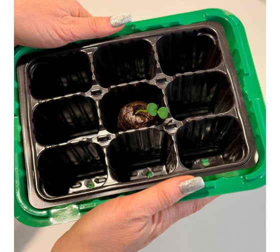 Кокосовые таблетки для рассады ГеоПластБорд 50 штук 94.1005