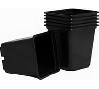 Набор горшков для рассады Ангора 8 шт, по 0.25 л, черный А5519чр