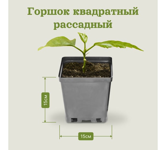 Горшок для рассады UOKSA 15х15х15 см, объем 2.7 л, твердый, литой, -22 1503