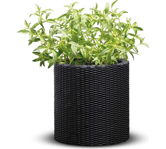 Кашпо KETER Cylinder Planter S графит 229120