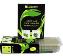 Набор для выращивания МИКРОЗЕЛЕНИ №1 (Горчица листовая красная+Кресс-салат) ELITE PLANT-BREEDING & SEED PRODUCTION Co. ЭС мини 1071854064