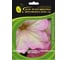 Петуния крупноцвет Софистика Антикве Шейдз F1 ELITE PLANT-BREEDING & SEED PRODUCTION Co. 10 шт ЭС мини 1026993799 1